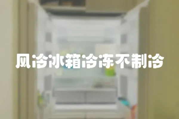 風冷冰箱冷凍不制冷