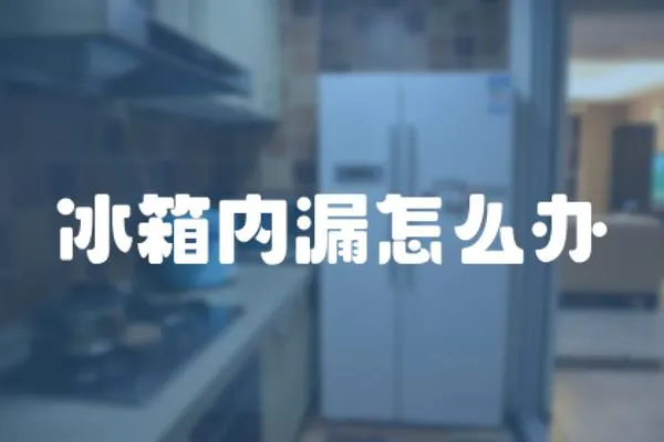 冰箱內漏怎么辦