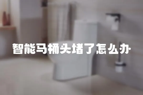 智能馬桶頭堵了怎么辦