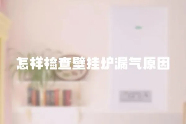 怎樣檢查壁掛爐漏氣原因