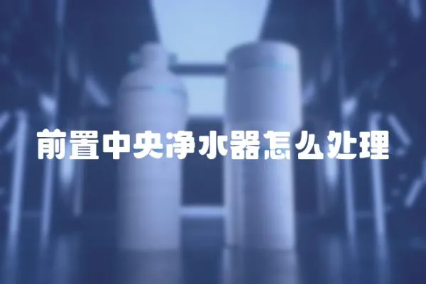 前置中央凈水器怎么處理