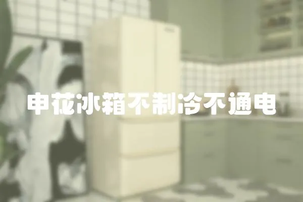 申花冰箱不制冷不通電