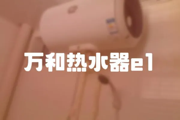 萬和熱水器e1