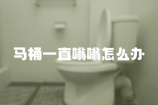 馬桶一直嗡嗡怎么辦