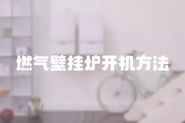 燃氣壁掛爐開機方法