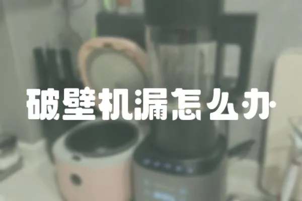 破壁機漏怎么辦