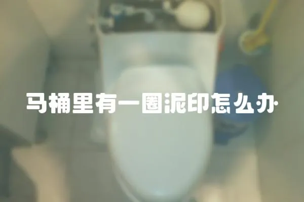 馬桶里有一圈泥印怎么辦