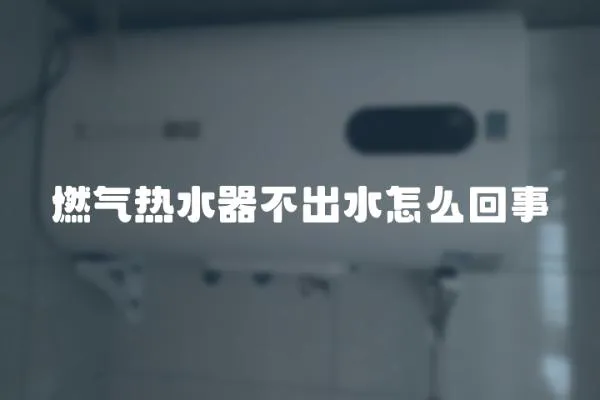 燃?xì)鉄崴鞑怀鏊趺椿厥?></a></div>
                    <div   id=