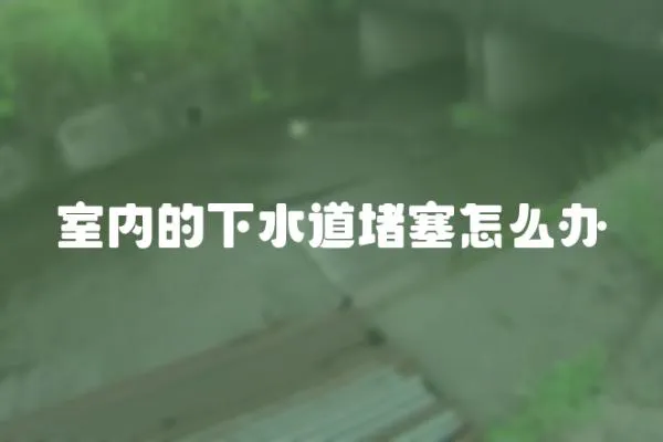室內(nèi)的下水道堵塞怎么辦
