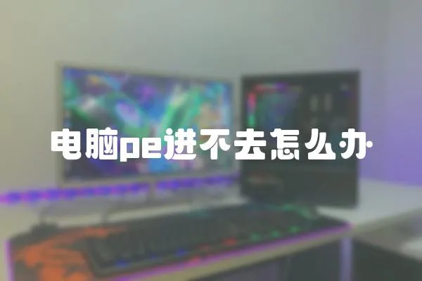 電腦pe進不去怎么辦