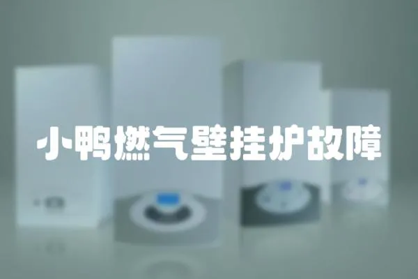 小鴨燃氣壁掛爐故障