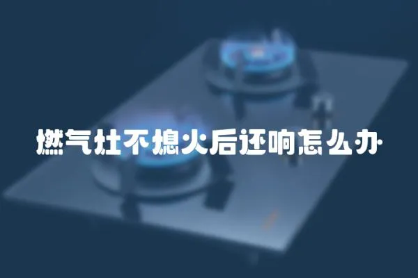 燃氣灶不熄火后還響怎么辦