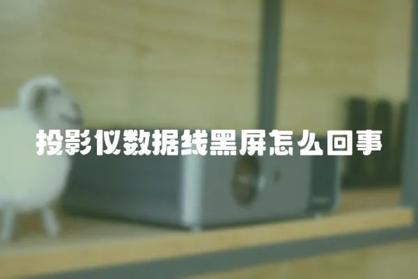 投影儀數據線黑屏怎么回事