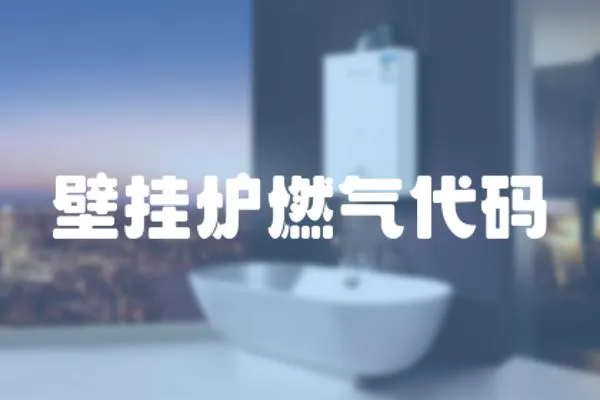 壁掛爐燃?xì)獯a