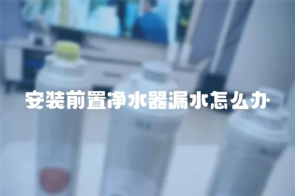 安裝前置凈水器漏水怎么辦