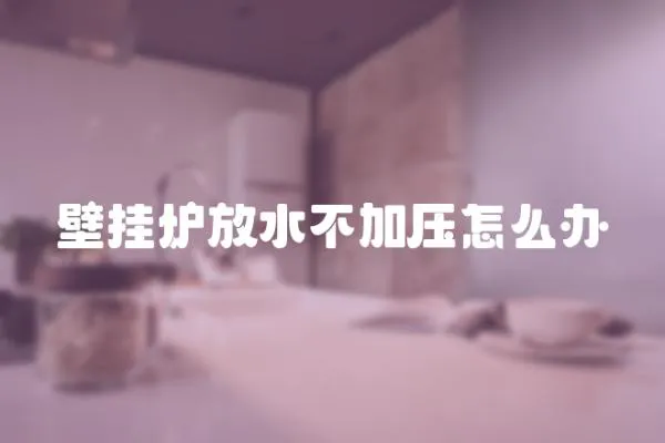 壁掛爐放水不加壓怎么辦