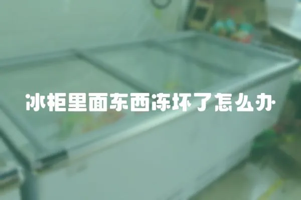 冰柜里面東西凍壞了怎么辦