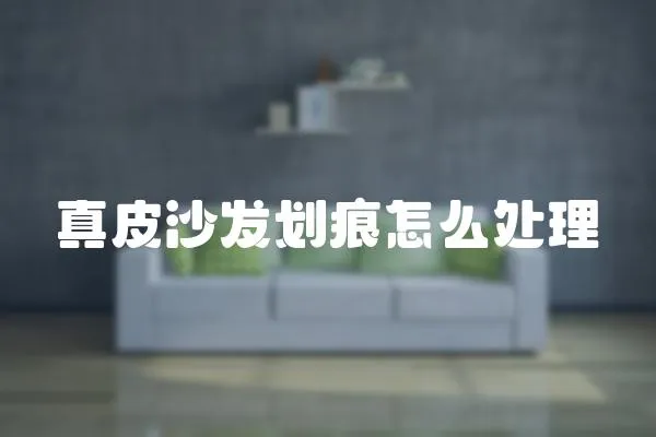 真皮沙發劃痕怎么處理