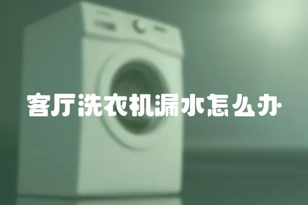 客廳洗衣機漏水怎么辦