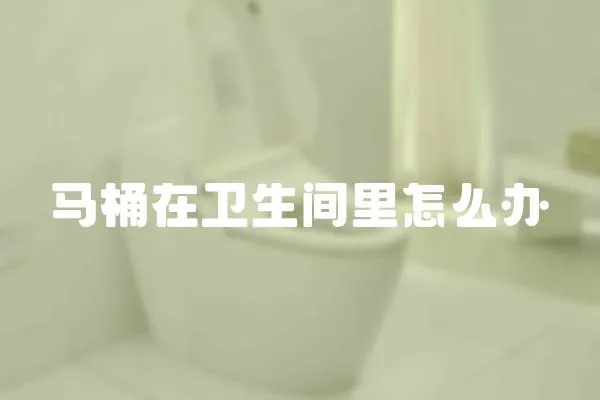 馬桶在衛生間里怎么辦