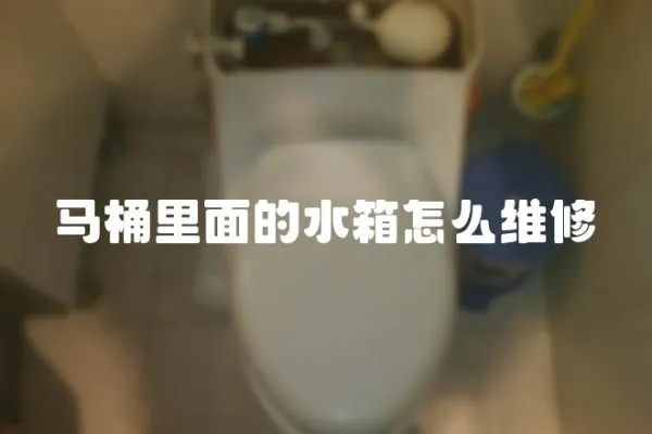 馬桶里面的水箱怎么維修
