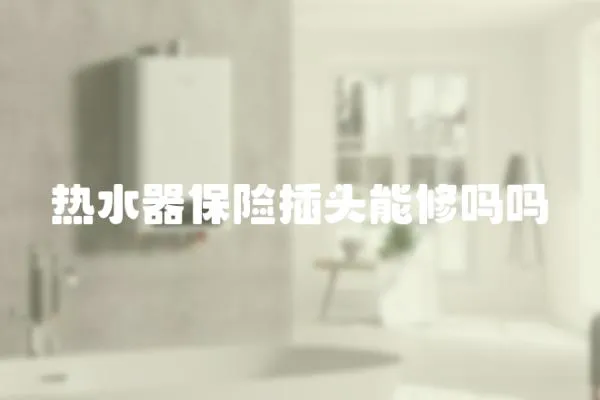 熱水器保險插頭能修嗎嗎