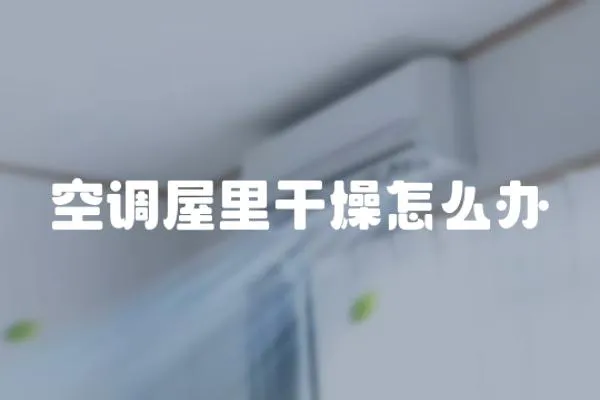 空調(diào)屋里干燥怎么辦