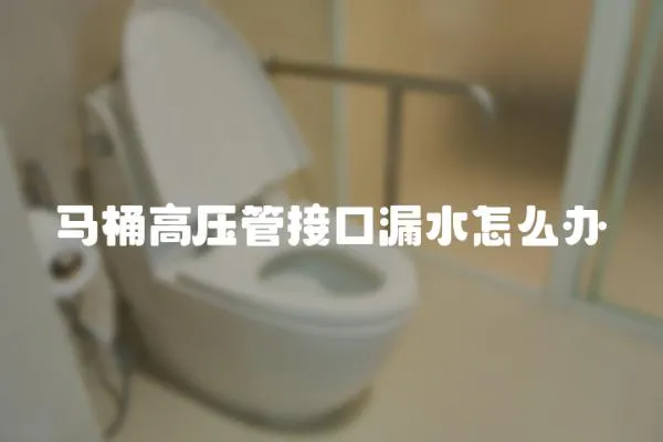 馬桶高壓管接口漏水怎么辦