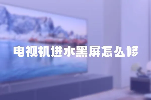 電視機進水黑屏怎么修