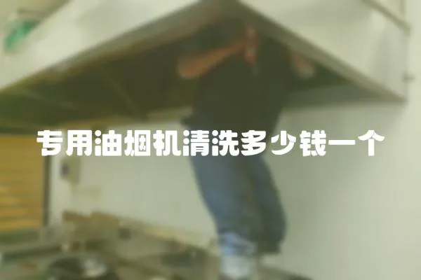 專用油煙機清洗多少錢一個