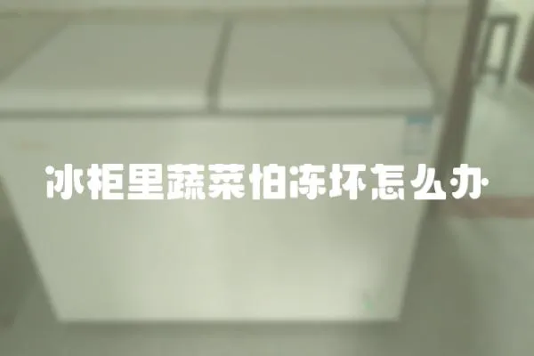 冰柜里蔬菜怕凍壞怎么辦