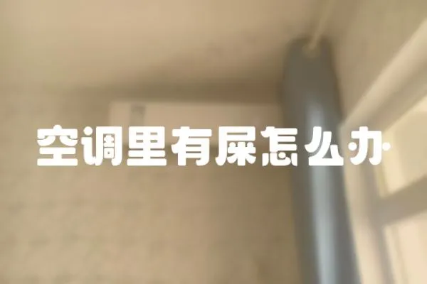 空調里有屎怎么辦