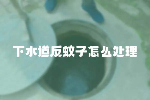 下水道反蚊子怎么處理