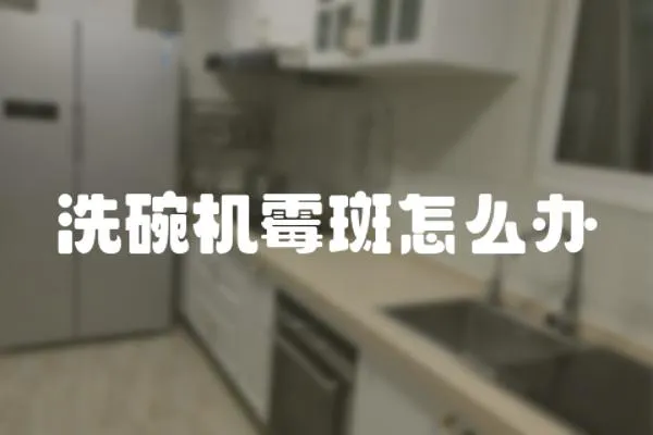 洗碗機霉斑怎么辦