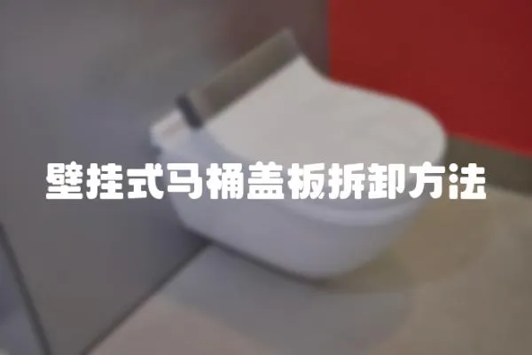 壁掛式馬桶蓋板拆卸方法