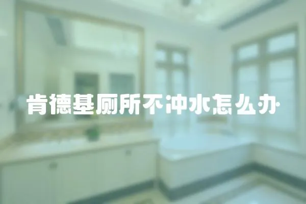 肯德基廁所不沖水怎么辦