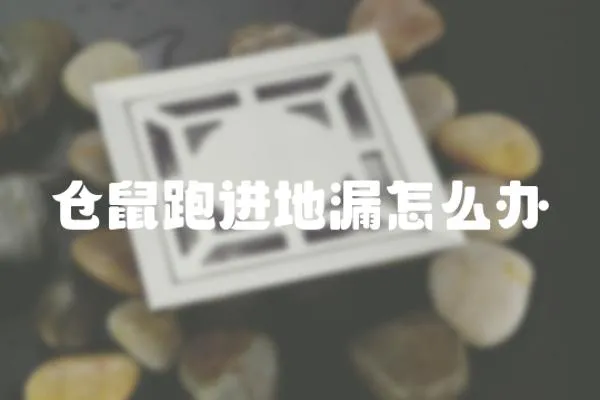 倉鼠跑進地漏怎么辦