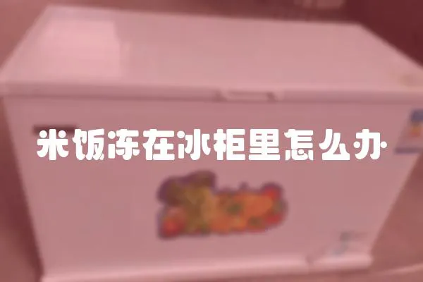 米飯凍在冰柜里怎么辦