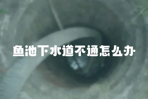 魚池下水道不通怎么辦