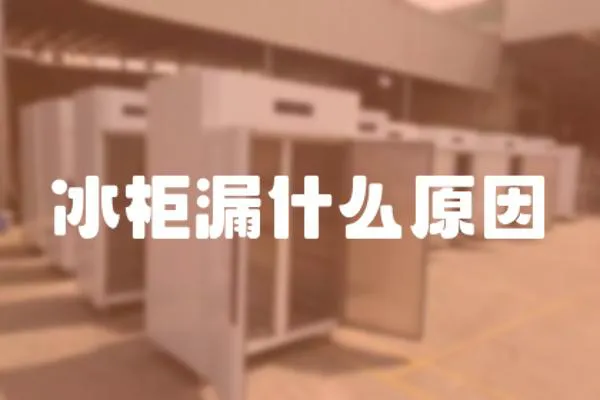 冰柜漏什么原因