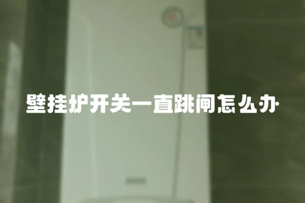 壁掛爐開關一直跳閘怎么辦