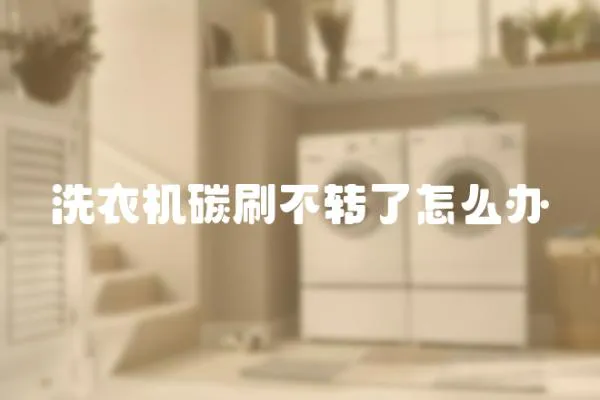 洗衣機碳刷不轉了怎么辦