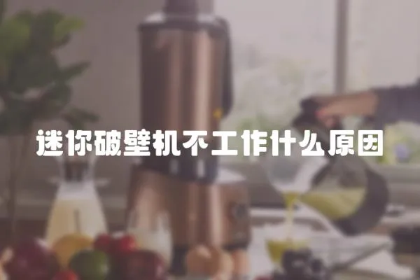 迷你破壁機(jī)不工作什么原因