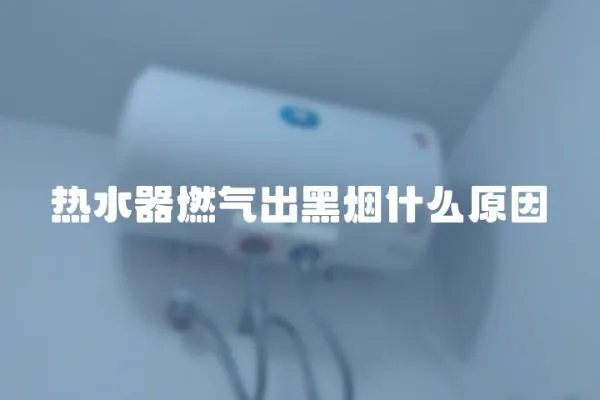 熱水器燃?xì)獬龊跓熓裁丛? loading=