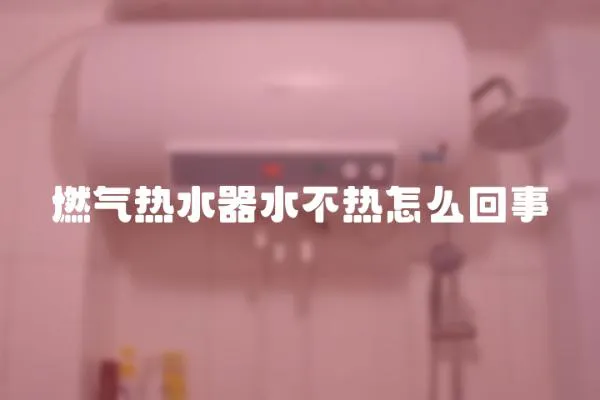 燃氣熱水器水不熱怎么回事
