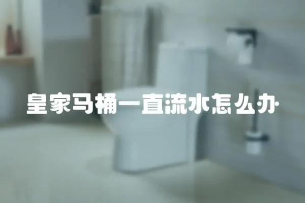 皇家馬桶一直流水怎么辦