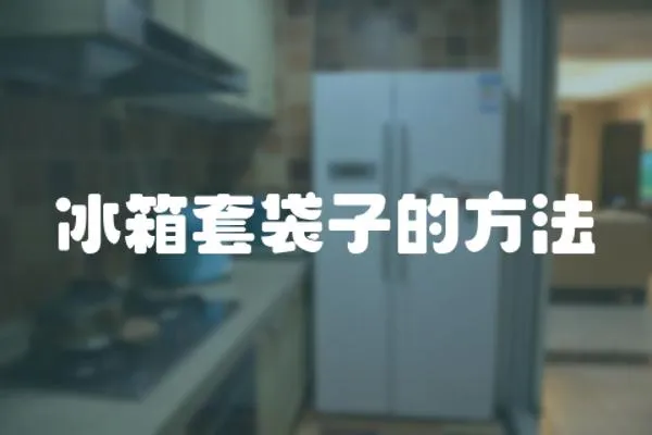 冰箱套袋子的方法