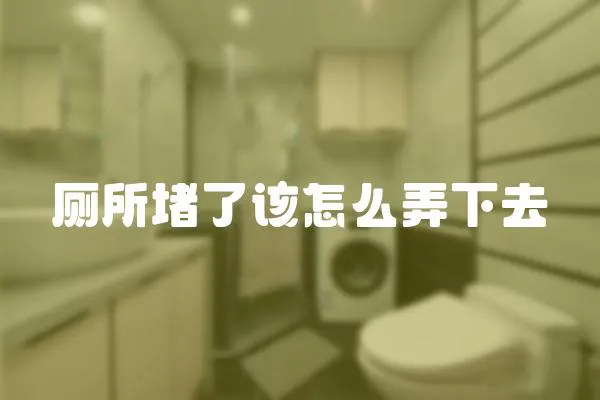 廁所堵了該怎么弄下去