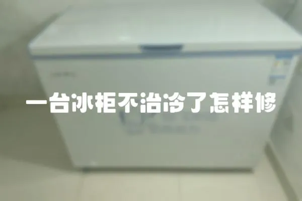 一臺冰柜不治冷了怎樣修