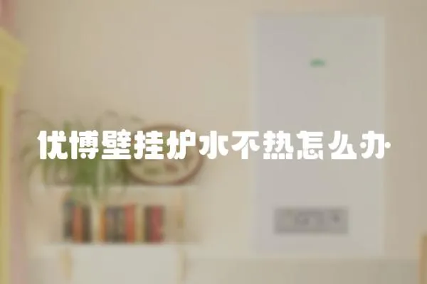 優博壁掛爐水不熱怎么辦